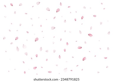 Pétalos de cerezo realistas. Ilustración del vector