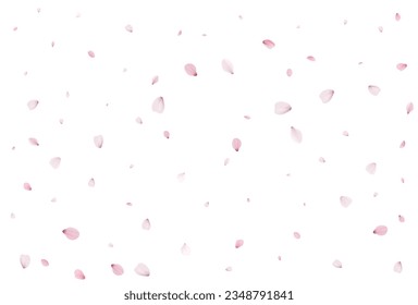 Realistic cherry petals. Vector illustration