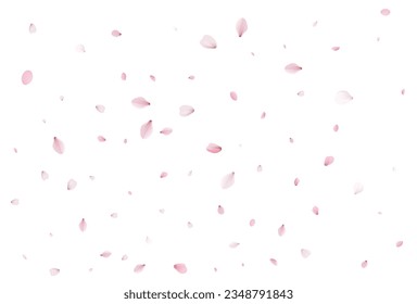 Realistic cherry petals. Vector illustration