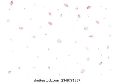 Realistic cherry petals. Vector illustration
