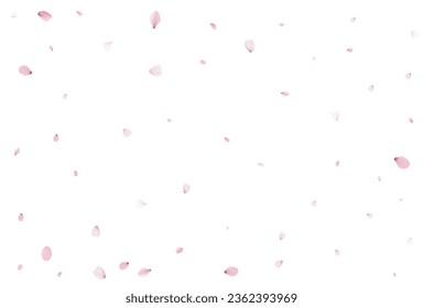 Realistic cherry petals. Vector illustration
