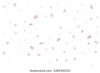 Pétalos de cerezo realistas. Ilustración del vector