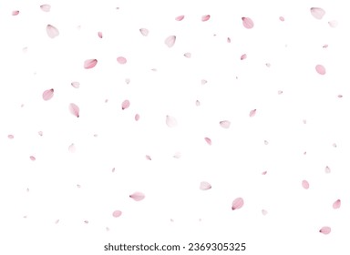 Pétalos de cerezo realistas. Ilustración del vector