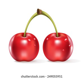 Realistic cherry. Vector illustration