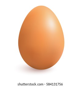 Realistic chicken brown egg with shadow. Isolated on white background. Made with gradient mesh, textured. Vector illustration.