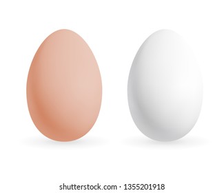 Realistic chicken egg set. Brown and white eggs. Isolated vector mockup. Easter concept.