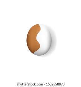 Realistic chicken egg set. Brown and white eggs. Isolated vector mockup. Easter concept. Vector, 3d