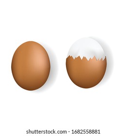 Realistic chicken egg set. Brown and white eggs. Isolated vector mockup. Easter concept. Vector, 3d