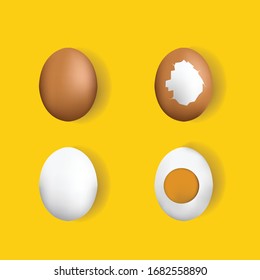 Realistic chicken egg set. Brown and white eggs. Isolated vector mockup. Easter concept. Vector, 3d
