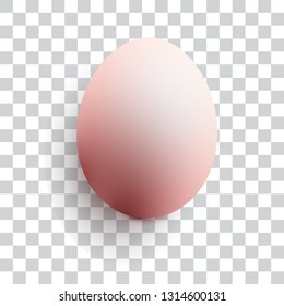 Realistic Chicken Egg Vector on Transparent Isolated Background