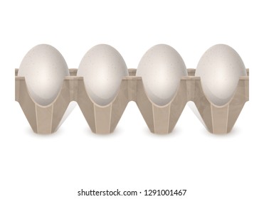 Realistic Chicken eggs in carton egg box isolated on white background. Cardboard egg tray with White eggs, front view. Bird eggs, vector illustration