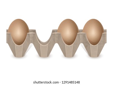 Realistic Chicken eggs in carton egg box isolated on white background. Cardboard egg tray with brown eggs, front view. Bird eggs, vector illustration