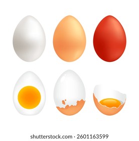 Realistic chicken eggs. Set of isolated vector illustrations