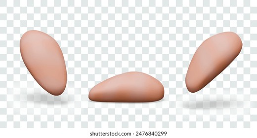 Realistic chicken fillet in different positions. Raw poultry meat without bones