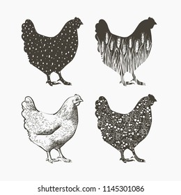 Realistic Chicken logo. Decorative silhouette pattern. Vector illustration in vintage style