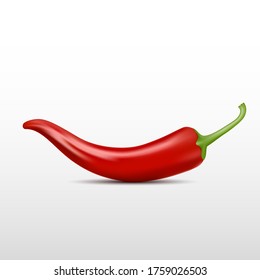Realistic Chili Pepper, Vector illustration on isolated white background