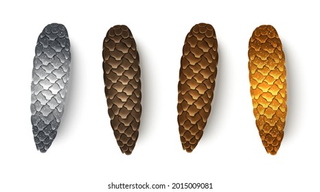 Realistic Christmas fir tree cones set isolated on white background. Vector illustration. Brown, silver and golden pinecones collection