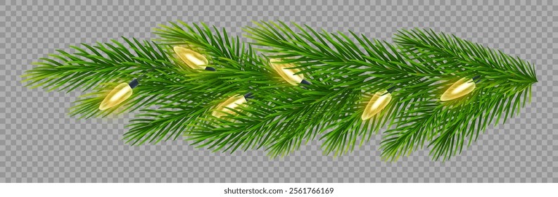 Realistic Christmas garland with glowing lights on fir branch on transparent background. For festive celebrations, holiday banners, New Year, Christmas greeting cards, posters. Vector illustration