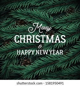 Realistic Christmas tree background. 3d Pine branches and pine cones. Merry Christmas and Happy New Year greeting banner.