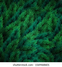Realistic Christmas tree branches. Festive Xmas background of green branch of pine. Suitable for greeting card, banner.
