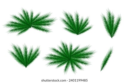 Realistic Christmas tree branches. isolated on white background