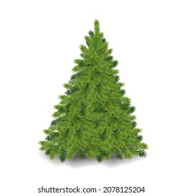 Realistic christmas tree Fluffy green pine tree