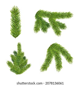 Realistic christmas tree and fluffy green pine tree branch