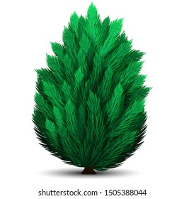 Realistic Christmas tree isolated on white background. Green fir or pine.