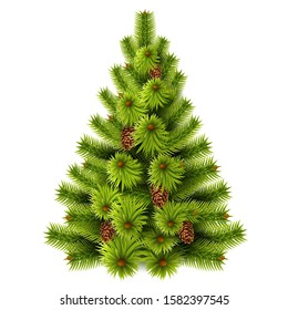 Realistic christmas tree. Vector 3d sprice, fir evergreen tree for merry cristmas, happy new year decoration design. Xmas symbol. Traditional winter holidays decoration for greeting cards.