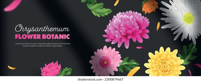 Realistic chrysanthemum poster with colorful flower bulbs on dark background vector illustration