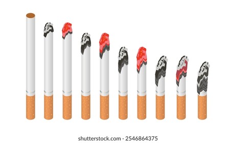 Realistic Cigarette Burn Stages: Fresh to Ashy Butts. Vector of Tobacco and Harmful Cigar Burning Process.