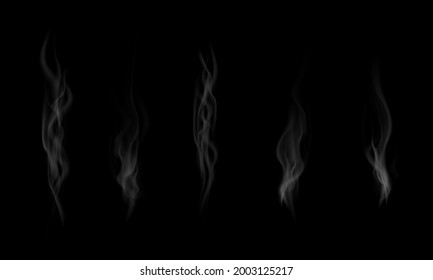 realistic cigarette smoke waves. vector illustration