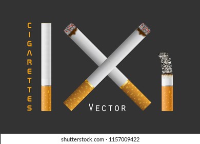 Realistic Cigarettes | Vector Illustration (3D Render)