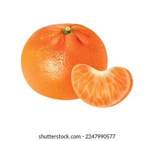 Realistic citrus fruit composition with isolated view of whole and half fruits on blank background vector illustration