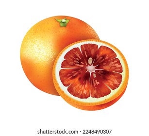 Realistic citrus fruit composition with isolated view of whole and half fruits on blank background vector illustration