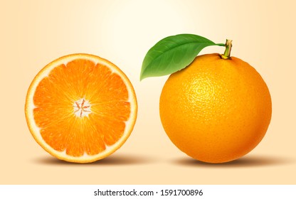 Realistic citrus fruit with section part in 3d illustration