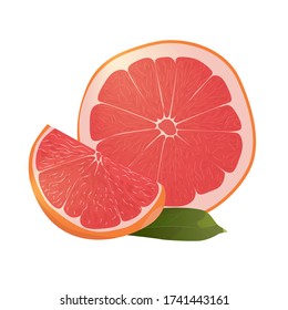 Realistic citrus image. Red oranges fruits and slices isolated on white background. Grapefruit