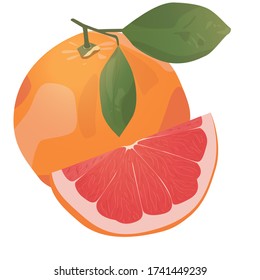 Realistic citrus image. Red oranges fruits and slices with leaf isolated on white background.