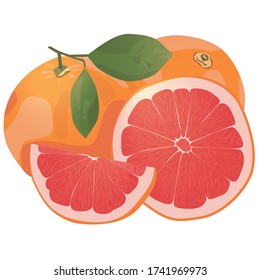 Realistic citrus image. Red oranges fruits and slices with leaf isolated on white background. Grapefruit