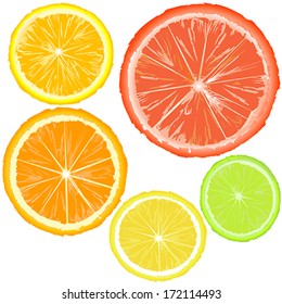 Realistic citrus, set of fruit slices