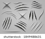 Realistic claw scratch. Paper cut and scratch animal claw, rough holes in flat surface, fabric or paper. Animal paw marks vector illustrations. Beast attack marks as cat, dog, tiger or lion