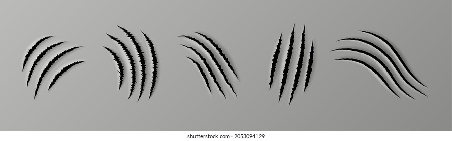 Realistische Kratzer. Papierschnitt und Spur der Tierkruste, raue Löcher auf flacher Oberfläche, Stoff oder Papier. Tierpfauenmarken von Katze, Hund, Tiger oder Löwe. 3D-Vektorgrafik