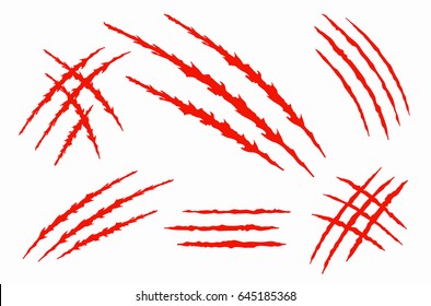 Realistic claw scratches on background. Vector illustration. 