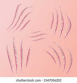Realistic claws animal scratch scrape track. Cat tiger scratches paw shape. Four nails trace. Damaged cloth. Funny design elements in living corall colors. Ragged edges. Vector illustration.