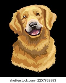 Realistic close up head of Golden Retriever dog. Vector colorful isolated illustration isolated on black background. For decoration, design, print, posters, postcards, stickers, tattoo, t-shirt