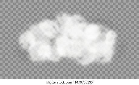 Realistic Cloud On Transparent Background. EPS10 Vector