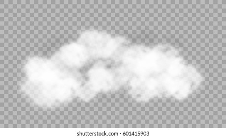 Realistic Cloud On Transparent Background. EPS10 Vector