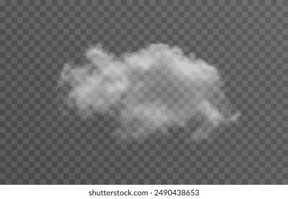 Realistic cloud, smoke or fog on an isolated transparent background. Vector cloud png.