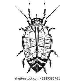 Realistic cockroach vector, hand drawn animal illustration cockroaches
