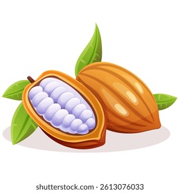 realistic cocoa fruit beans open in half with grains